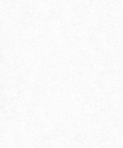 Marburger Tapete 2101 25,00 x 1,06cm Marburger Rapid 2088